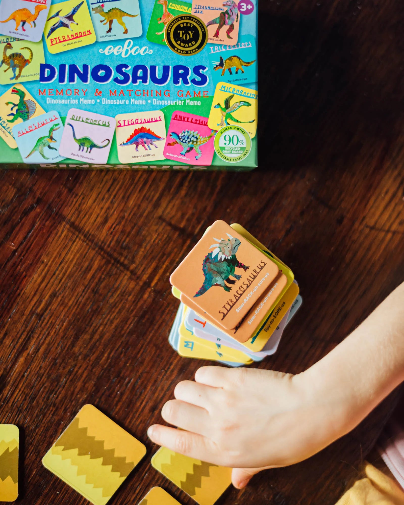 Dinosaurs Little Memory & Matching Little Game