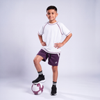 SPRNT Aero Shorts Plum