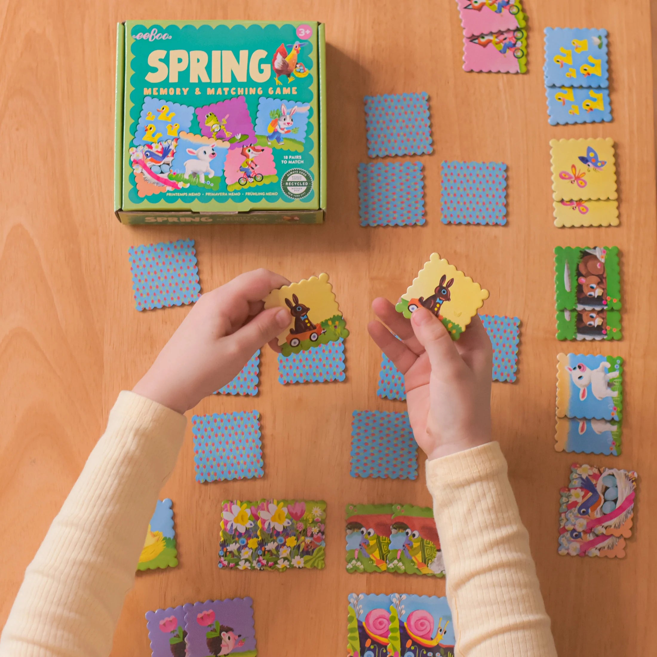 Spring Memory & Matching Little Game