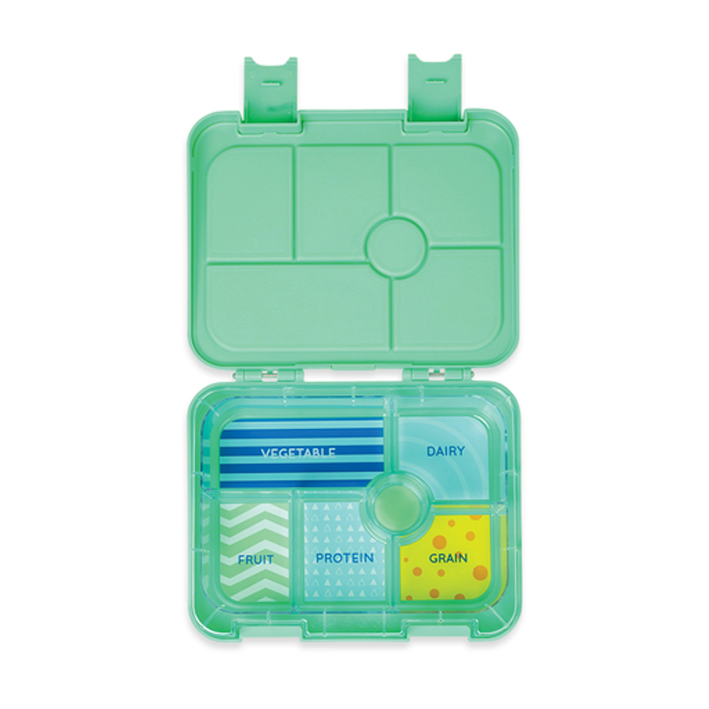 Large Bento Box — Dino Rock
